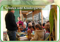 Schulen und Kindergärten