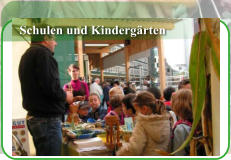 Schulen und Kindergärten