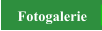 Fotogalerie